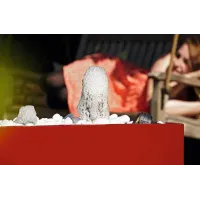 Dysza-spieniająca-do-fontanny-Schaumsprudler-35-10E-50984-Oase