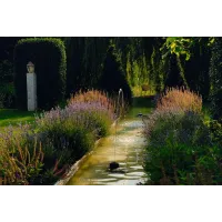 Water Jet Lightning OASE-50191