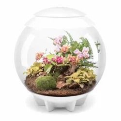 biOrb AIR 60 biały- terrarium