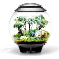 biOrb AIR 60 szary- terrarium-las-w-kuli-kompozycja
