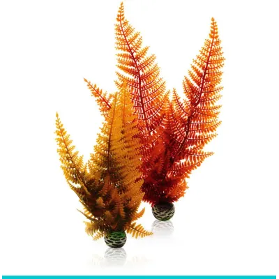 biOrb AQUATIC set 2 - paproć jesienna