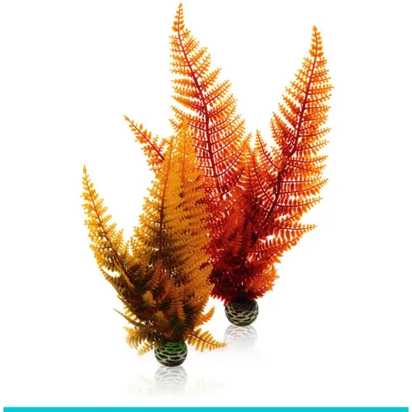 biOrb AQUATIC set 2 - paproć jesienna