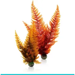 biOrb-46065 AQUATIC set 2 - paproć jesienna