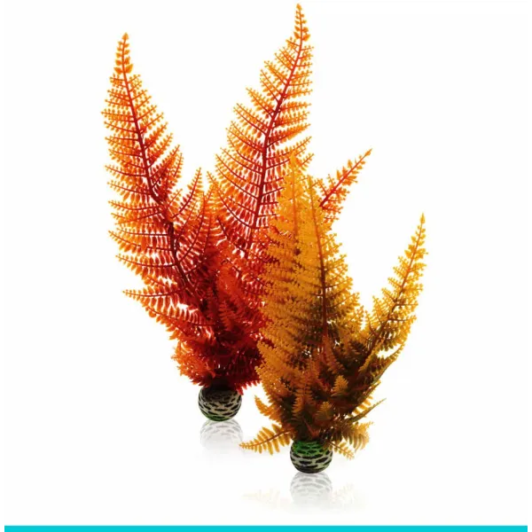 biOrb AQUATIC set 2 - paproć jesienna