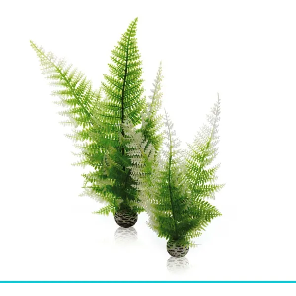 biOrb-46066 AQUATIC set 2 - paproć
