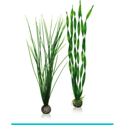 zestaw roślin L biOrb 46057 trawa i nurzaniec do akwarium Oase