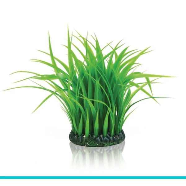 biOrb-46104 trawa morska średnia