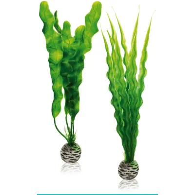 biOrb-46056 zestaw roślin M onowodek