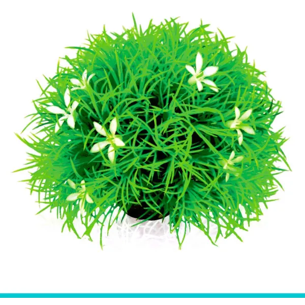 biOrb - 46086 trawa ze stokrotkami