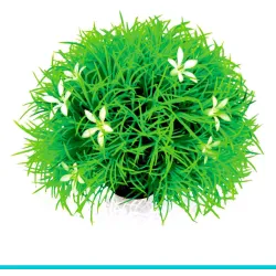 biOrb - 46086 kula roślin ze stokrotkami