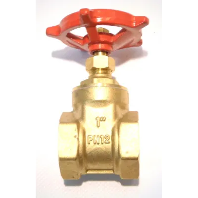 Zasuwa klinowa 1 cal regulacyjna