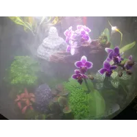 biOrb-AIR-60-biały-terrarium-zamgławianie