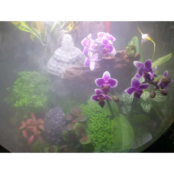 biOrb-AIR-60-biały-terrarium-zamgławianie