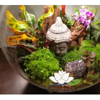 biOrb-AIR-60-biały-terrarium-kompozycja-Budda-storczyk