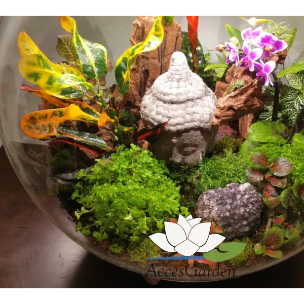 biOrb-AIR-60-biały-terrarium-kompozycja-Budda-storczyk
