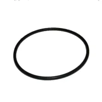 25969-O-ring NBR 60x2,5 SH70A