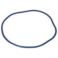 77773 O-ring pokrywy Filtoclear