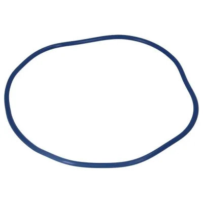 77773 O-ring pokrywy Filtoclear