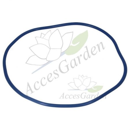 77773 O-ring pokrywy Filtoclear