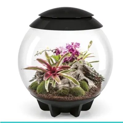 72557 biOrb AIR 60 czarny- terrarium