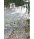 AquaNet 3x4 m OASE-53751 - Siatka zabezpieczająca przed liśćmi